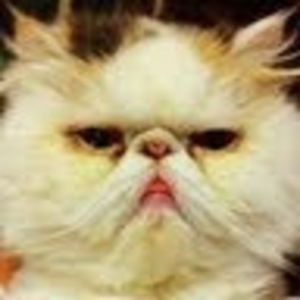 Meet your Posher, Lars